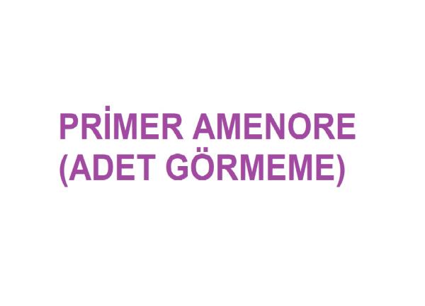 Primer Amenore (Adet Görememe)