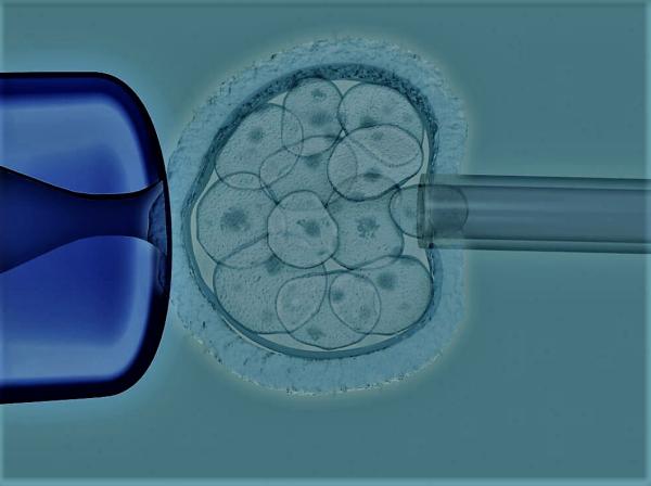 Over Rezervi ve Preimplantasyon Genetik Tanı (PGT) Sonuçları